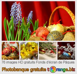 Banque d'images tOrange offre des photos libres de la section:  fonds-décran-de-pâques