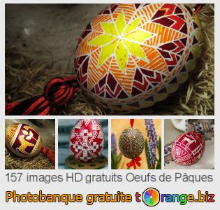 Banque d'images tOrange offre des photos libres de la section:  oeufs-de-pâques