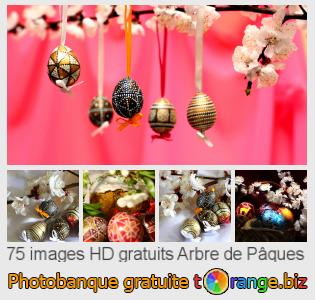 Banque d'images tOrange offre des photos libres de la section:  arbre-de-pâques