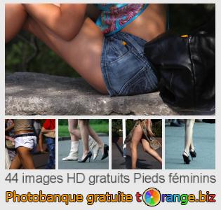 Banque d'images tOrange offre des photos libres de la section:  pieds-féminins