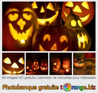Banque d'images tOrange offre des photos libres de la section:  calendrier-de-citrouilles-pour-halloween