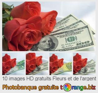 Banque d'images tOrange offre des photos libres de la section:  fleurs-et-de-largent