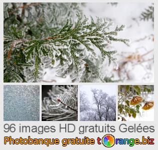 Banque d'images tOrange offre des photos libres de la section:  gelées