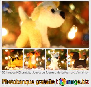 Banque d'images tOrange offre des photos libres de la section:  jouets-en-fourrure-de-la-fourrure-dun-chien