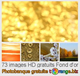 Banque d'images tOrange offre des photos libres de la section:  fond-dor