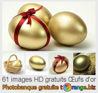Banque d'images tOrange offre des photos libres de la section:  œufs-dor