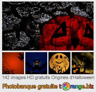 Banque d'images tOrange offre des photos libres de la section:  origines-dhalloween