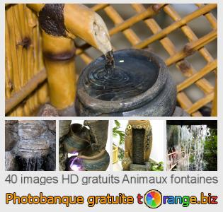 Banque d'images tOrange offre des photos libres de la section:  animaux-fontaines