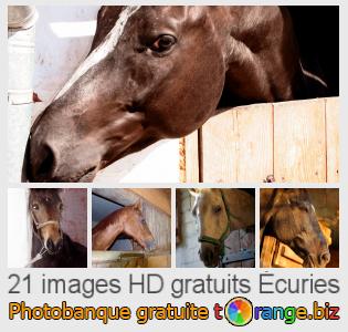 Banque d'images tOrange offre des photos libres de la section:  écuries