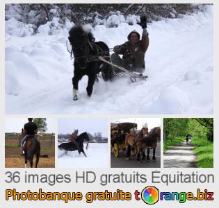 Banque d'images tOrange offre des photos libres de la section:  équitation