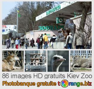 Banque d'images tOrange offre des photos libres de la section:  kiev-zoo