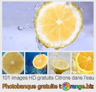 Banque d'images tOrange offre des photos libres de la section:  citrons-dans-leau