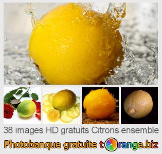 Banque d'images tOrange offre des photos libres de la section:  citrons-ensemble
