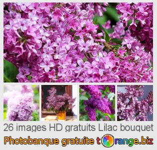 Banque d'images tOrange offre des photos libres de la section:  lilac-bouquet