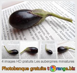 Banque d'images tOrange offre des photos libres de la section:  les-aubergines-miniatures