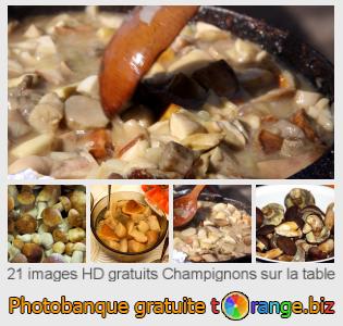 Banque d'images tOrange offre des photos libres de la section:  champignons-sur-la-table