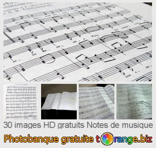 Banque d'images tOrange offre des photos libres de la section:  notes-de-musique