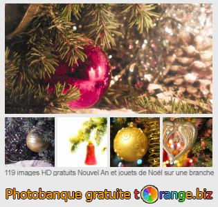 Banque d'images tOrange offre des photos libres de la section:  nouvel-et-jouets-de-noël-sur-une-branche