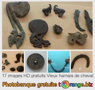 Banque d'images tOrange offre des photos libres de la section:  vieux-harnais-de-cheval