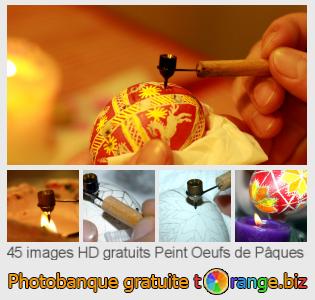 Banque d'images tOrange offre des photos libres de la section:  peint-oeufs-de-pâques