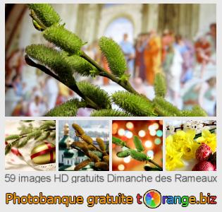 Banque d'images tOrange offre des photos libres de la section:  dimanche-des-rameaux