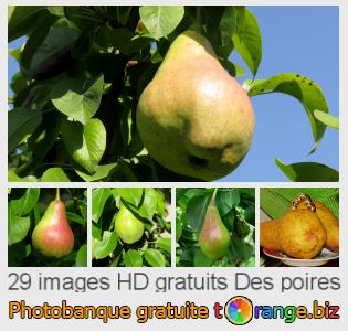 Banque d'images tOrange offre des photos libres de la section:  des-poires