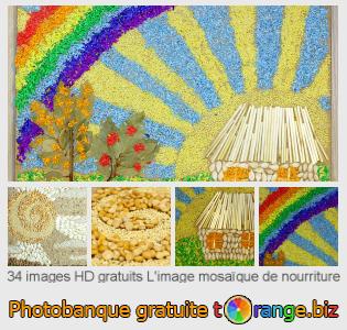 Banque d'images tOrange offre des photos libres de la section:  limage-mosaïque-de-nourriture