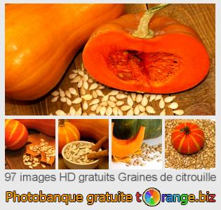 Banque d'images tOrange offre des photos libres de la section:  graines-de-citrouille