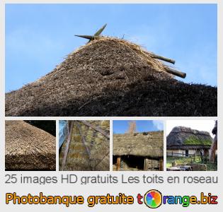 Banque d'images tOrange offre des photos libres de la section:  les-toits-en-roseau