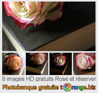 Banque d'images tOrange offre des photos libres de la section:  rose-et-réserver