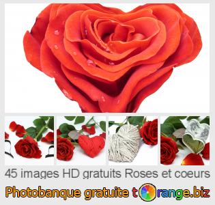 Banque d'images tOrange offre des photos libres de la section:  roses-et-coeurs