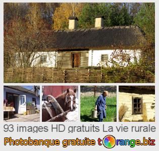 Banque d'images tOrange offre des photos libres de la section:  la-vie-rurale