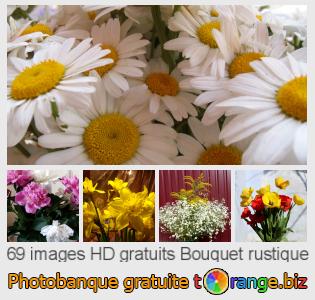 Banque d'images tOrange offre des photos libres de la section:  bouquet-rustique
