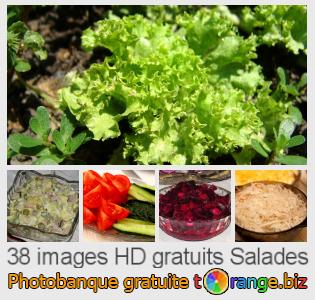 Banque d'images tOrange offre des photos libres de la section:  salades