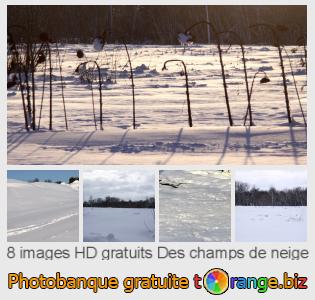 Banque d'images tOrange offre des photos libres de la section:  des-champs-de-neige