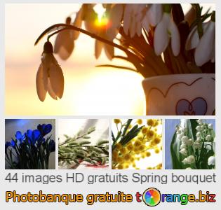 Banque d'images tOrange offre des photos libres de la section:  spring-bouquet