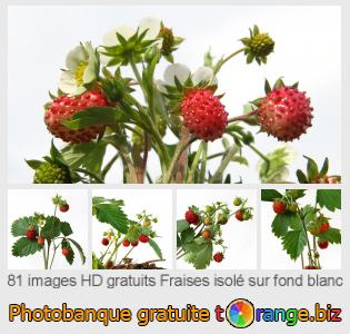 Banque d'images tOrange offre des photos libres de la section:  fraises-isolé-sur-fond-blanc