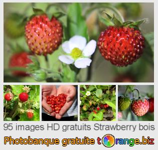 Banque d'images tOrange offre des photos libres de la section:  strawberry-bois