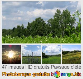 Banque d'images tOrange offre des photos libres de la section:  paysage-dété