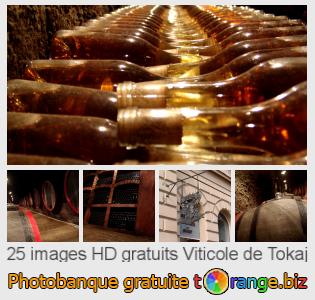 Banque d'images tOrange offre des photos libres de la section:  viticole-de-tokaj