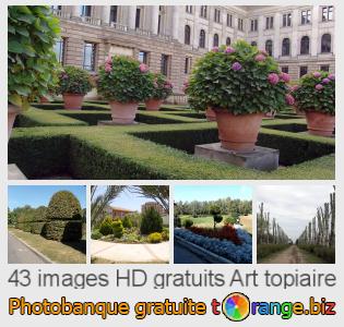 Banque d'images tOrange offre des photos libres de la section:  art-topiaire