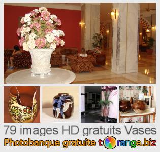 Banque d'images tOrange offre des photos libres de la section:  vases