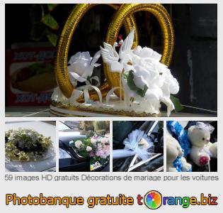 Banque d'images tOrange offre des photos libres de la section:  décorations-de-mariage-pour-les-voitures