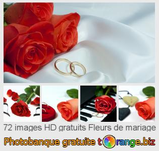 Banque d'images tOrange offre des photos libres de la section:  fleurs-de-mariage