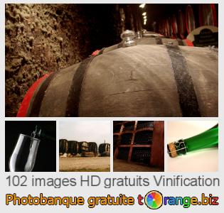 Banque d'images tOrange offre des photos libres de la section:  vinification