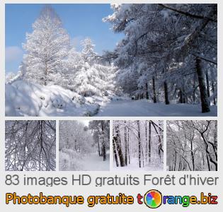 Banque d'images tOrange offre des photos libres de la section:  forêt-dhiver