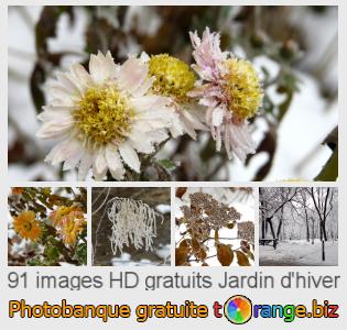 Banque d'images tOrange offre des photos libres de la section:  jardin-dhiver