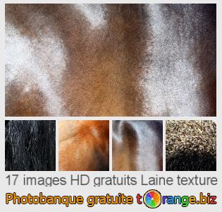 Banque d'images tOrange offre des photos libres de la section:  laine-texture
