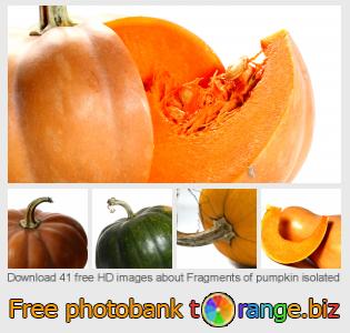 images free photo bank tOrange offers free photos from the section:  fragments-pumpkin-isolated