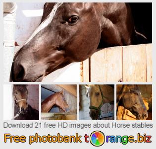 images free photo bank tOrange offers free photos from the section:  horse-stables
